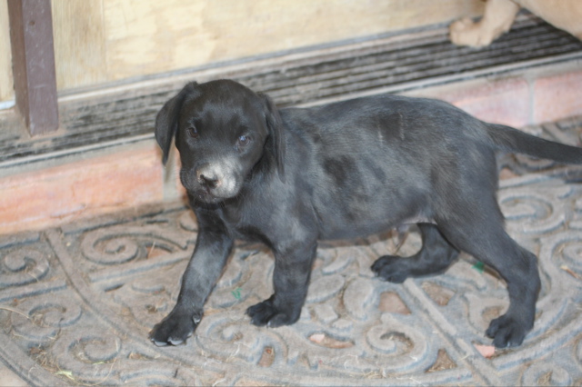 Nine Weeks - 1