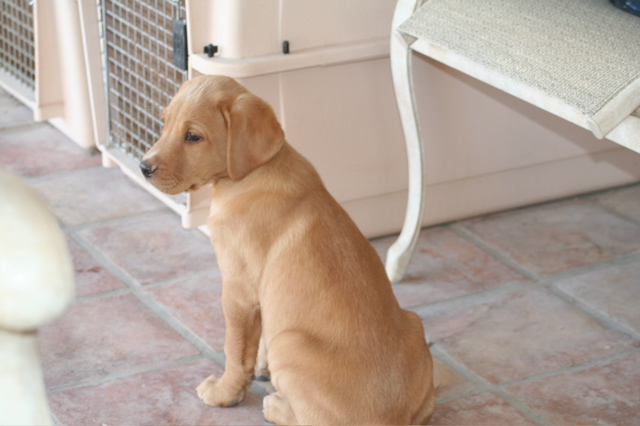 Nine Weeks - 3
