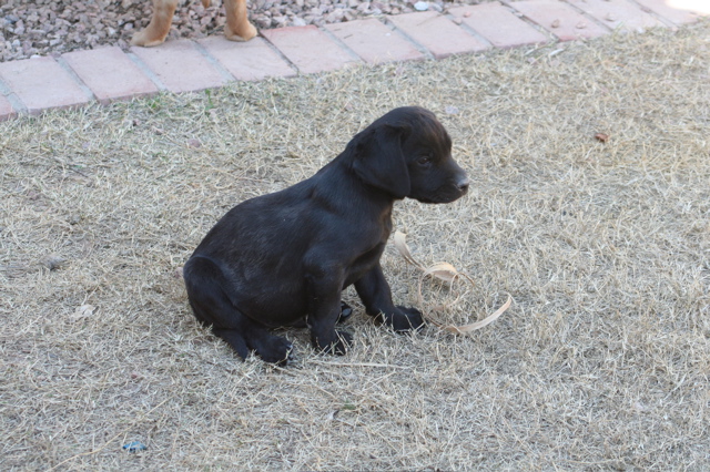 Nine Weeks - 6