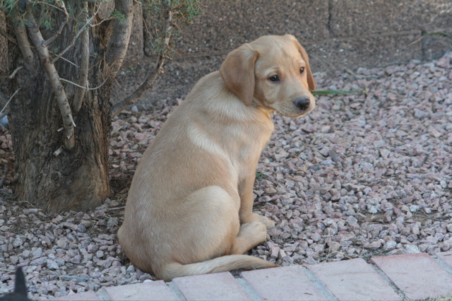 Nine Weeks - 8