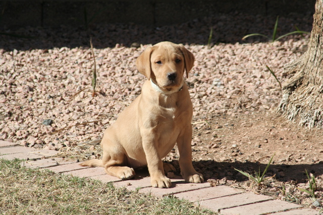 Nine Weeks - 10