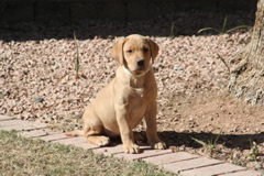 Nine Weeks - 10