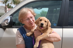Scooter's new family.JPG